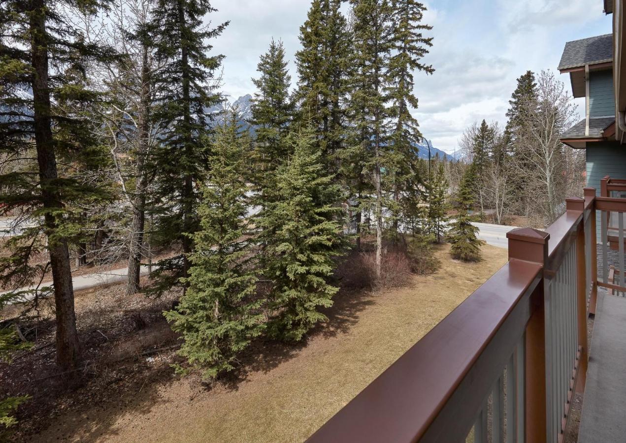 Newly Renovated Grizzly Lodge, Spacious 3Br 2Ba With Open Pool, Hot Tub Canmore Buitenkant foto