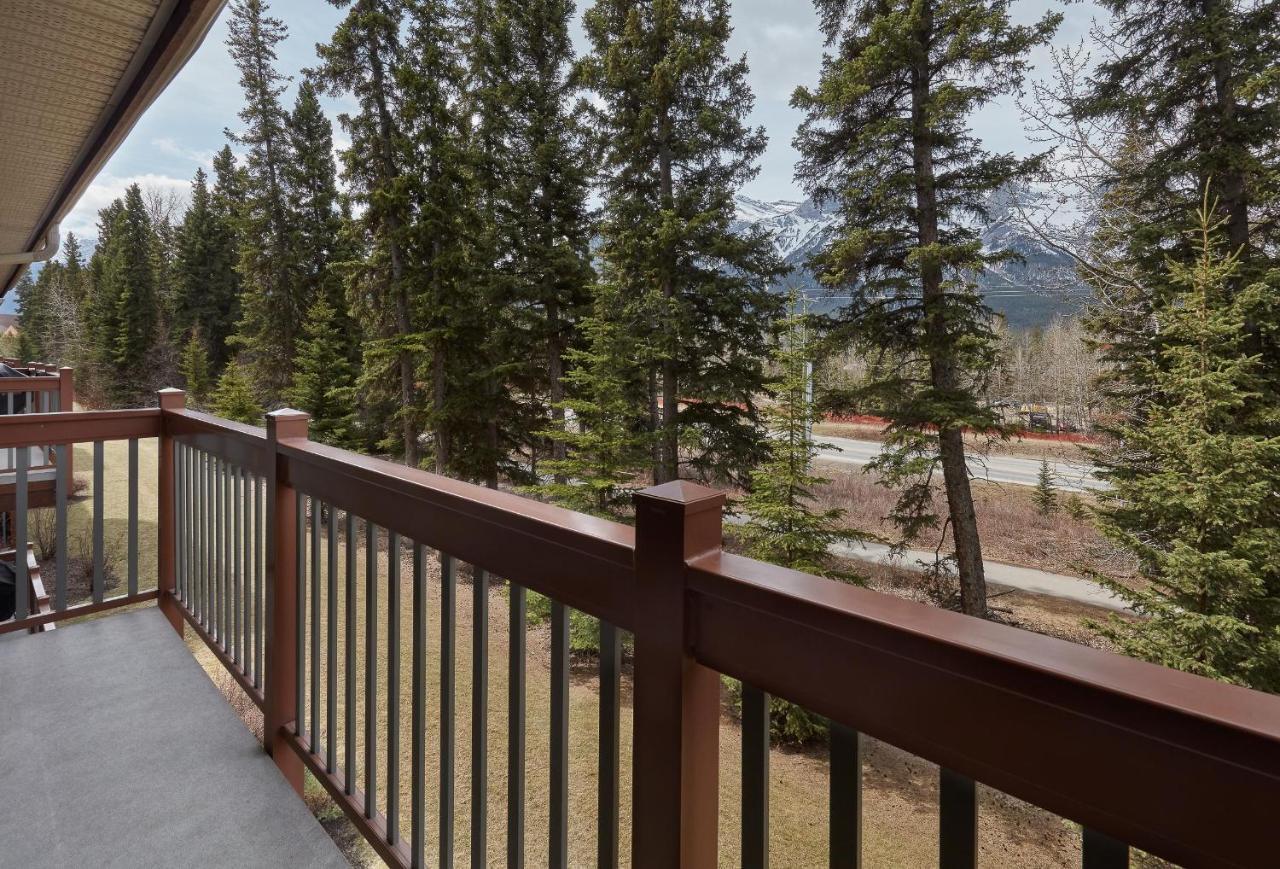 Newly Renovated Grizzly Lodge, Spacious 3Br 2Ba With Open Pool, Hot Tub Canmore Buitenkant foto