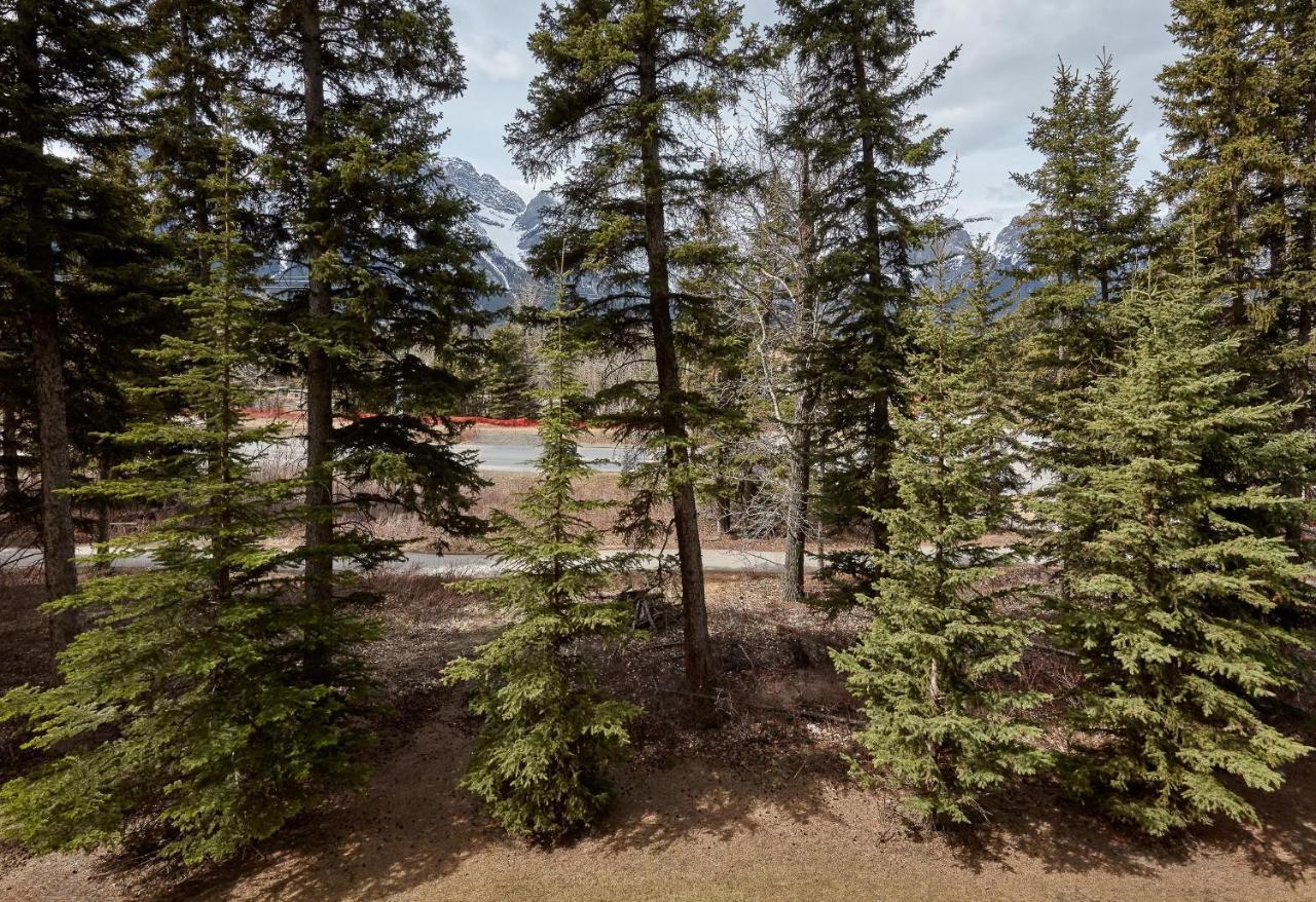 Newly Renovated Grizzly Lodge, Spacious 3Br 2Ba With Open Pool, Hot Tub Canmore Buitenkant foto